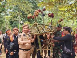 Acara Adat Menjangkap Buah Hanya Ada di Kabupaten Ketapang, Ini Harapan Sekda