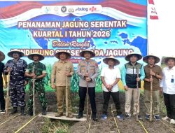 Dukung Ketahanan Pangan, Pemkab Ketapang Bersama Polres Laksanakan Penanaman Jagung Serentak Kuartal I