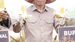 Pemkab Ketapang Dukung Swasembada Jagung Nasional Yang Dilaksanakan Oleh Polres Ketapang