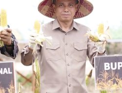Pemkab Ketapang Dukung Swasembada Jagung Nasional Yang Dilaksanakan Oleh Polres Ketapang