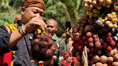 Komitmen Menjaga Warisan Budaya, Bupati Ketapang Hadiri Ritual Adat Menjangkap Buah